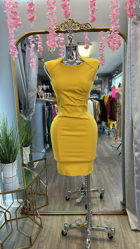 Classic Lady Dress (Yellow)