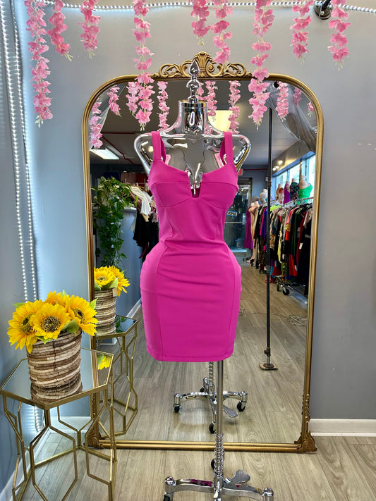 Pretty Little Dress (Fuchsia)